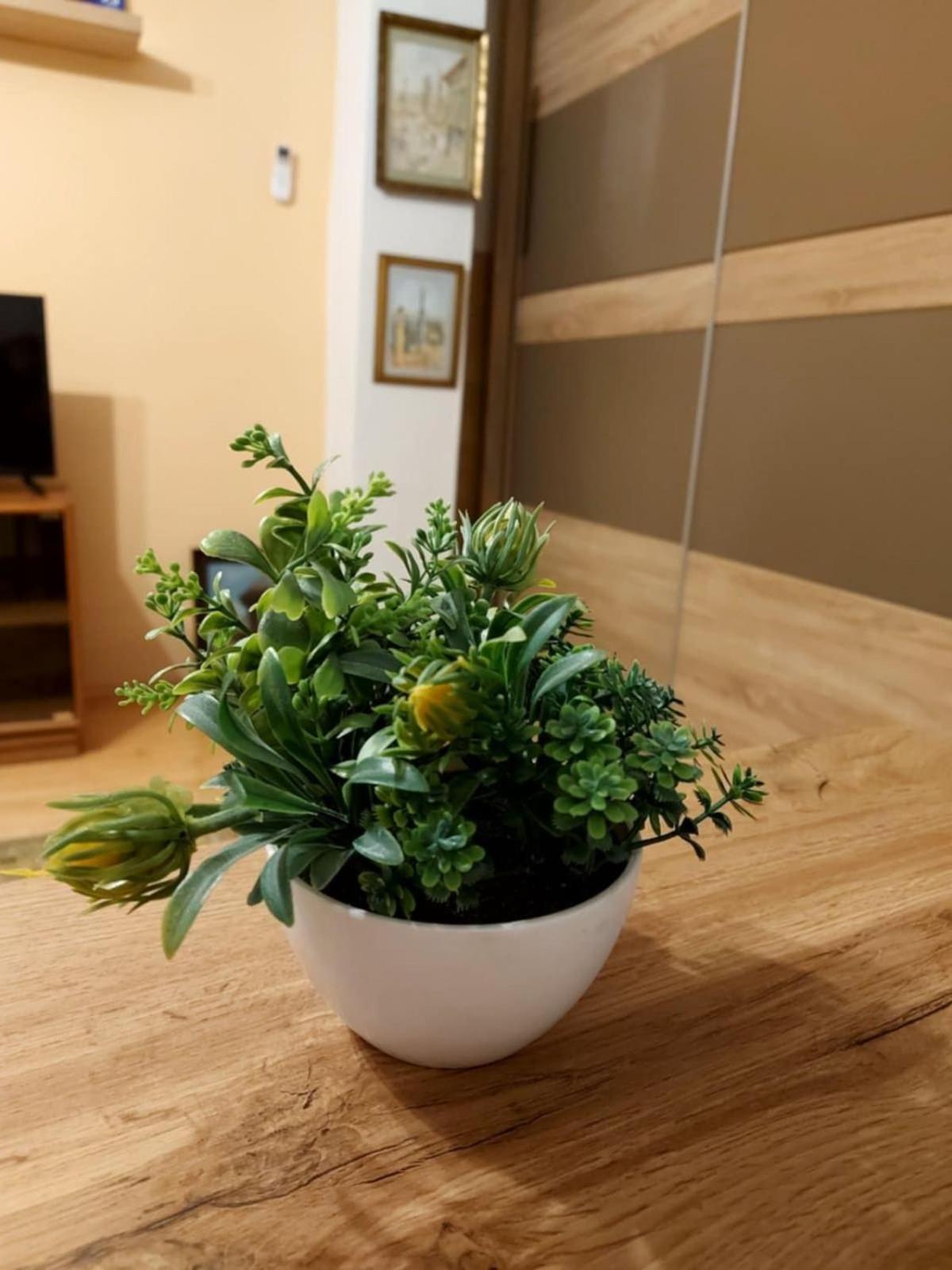 Little&Sweet Apartment Сараево Екстериор снимка